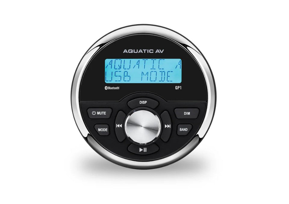 Harley-Davidson Road King Stereo Head Unit