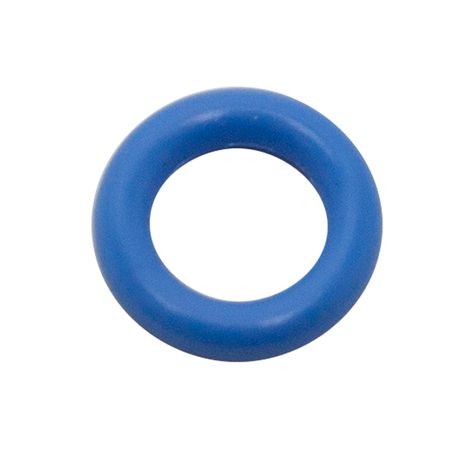 Pump Cap O-Ring