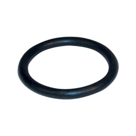 O-ring