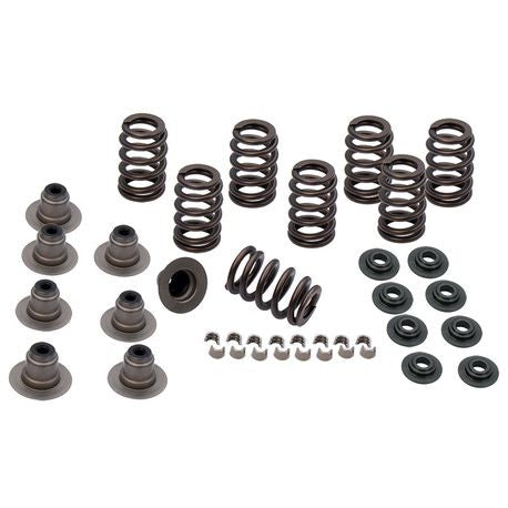 Heavy Duty Valve Spring kit for 2017-Up M8 Models