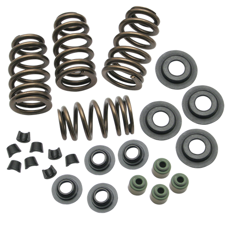 Sidewinder® .650" Valve Spring Kit for 2005-'18 Big Twins and 2004-'19 HD® Sportster® Models