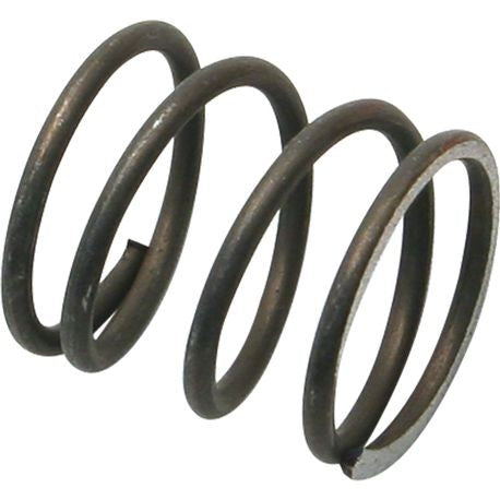 Pushrod Cover Cap Spring